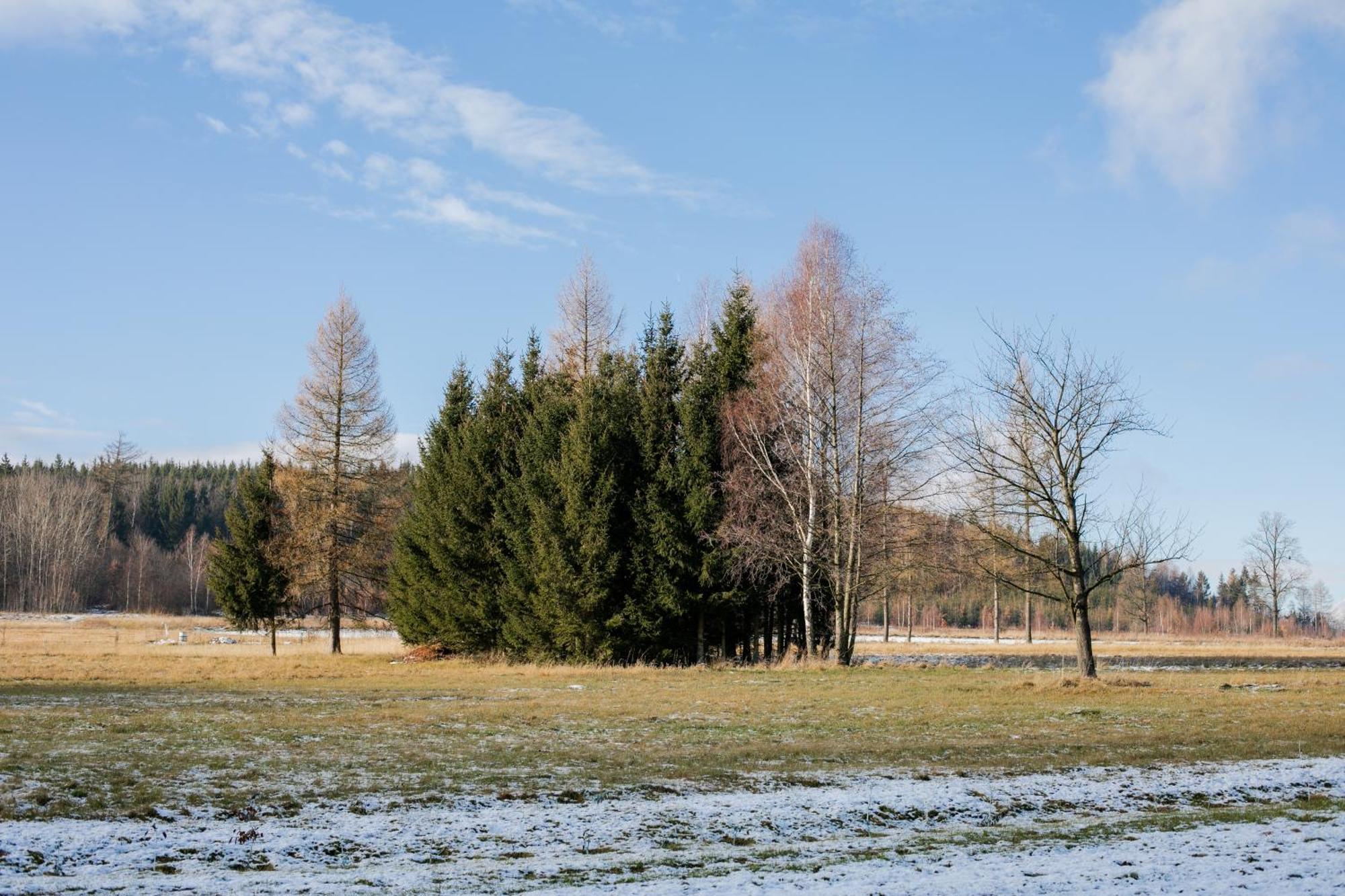 Alicjowka - Domek Marciszow Exterior photo